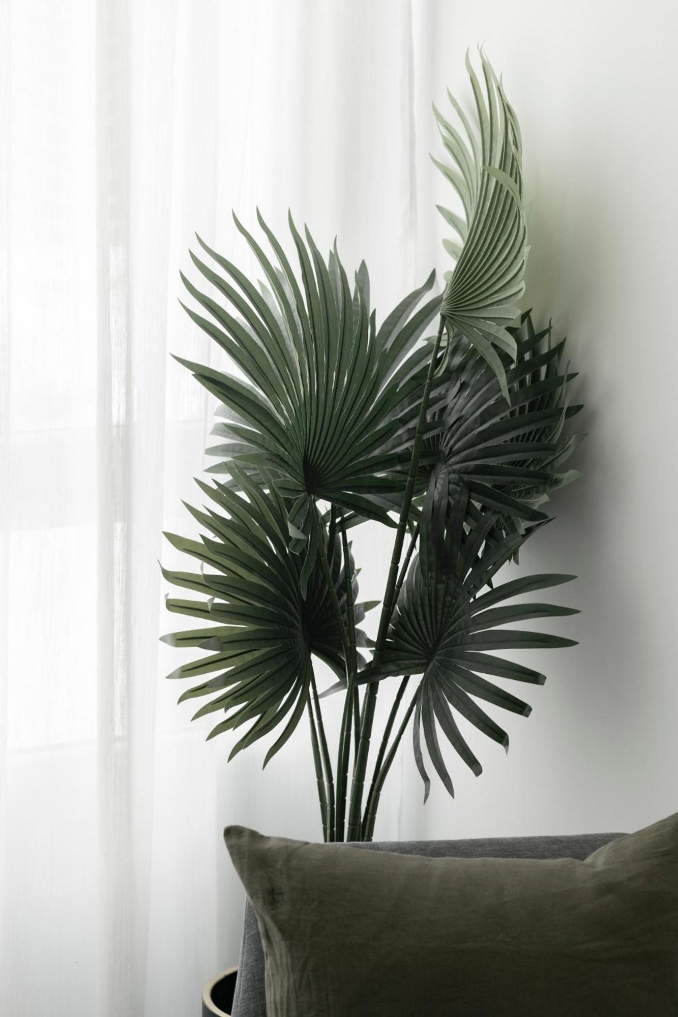 Edificio Botanica Alicante Centro By Renthas Room photo